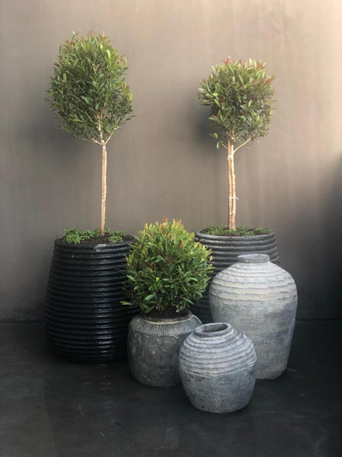 The Olive Tree Villa 이제르폰테인 외부 사진